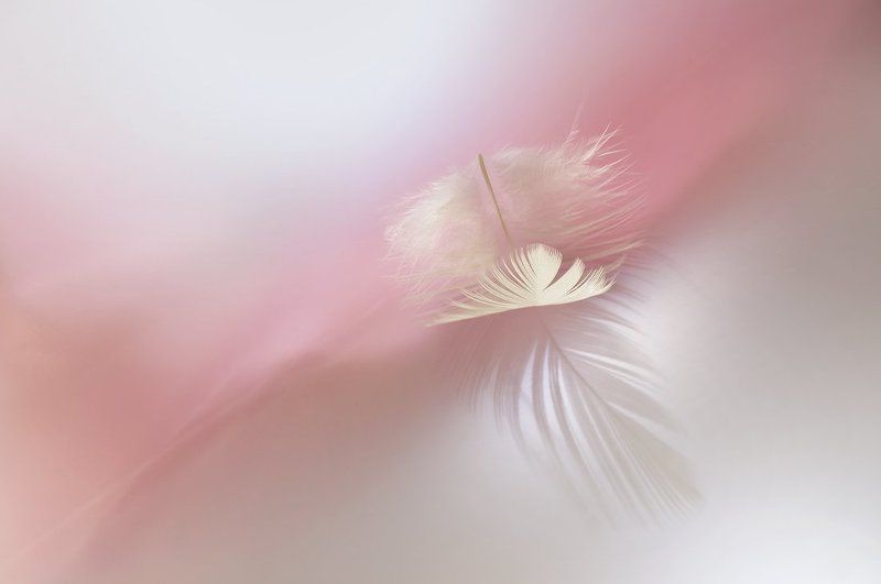 Ни пуха ни пера фото превью