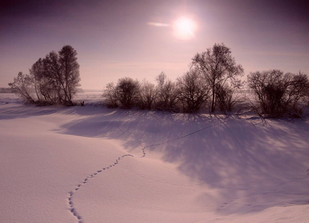 , Николай Морский