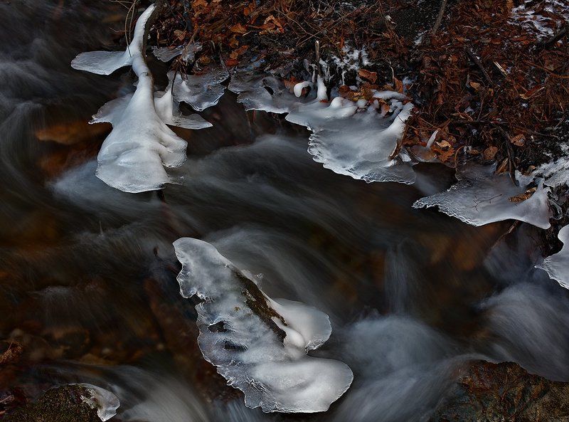 The ice dolphin фото превью