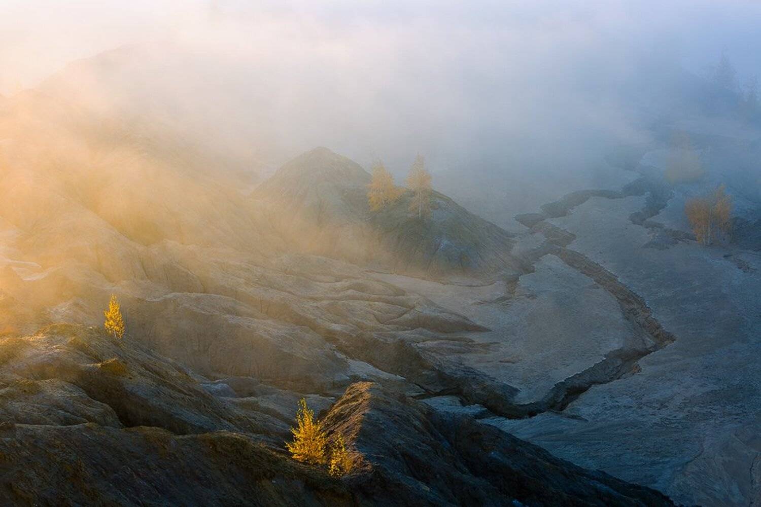, Юрий Сорокин