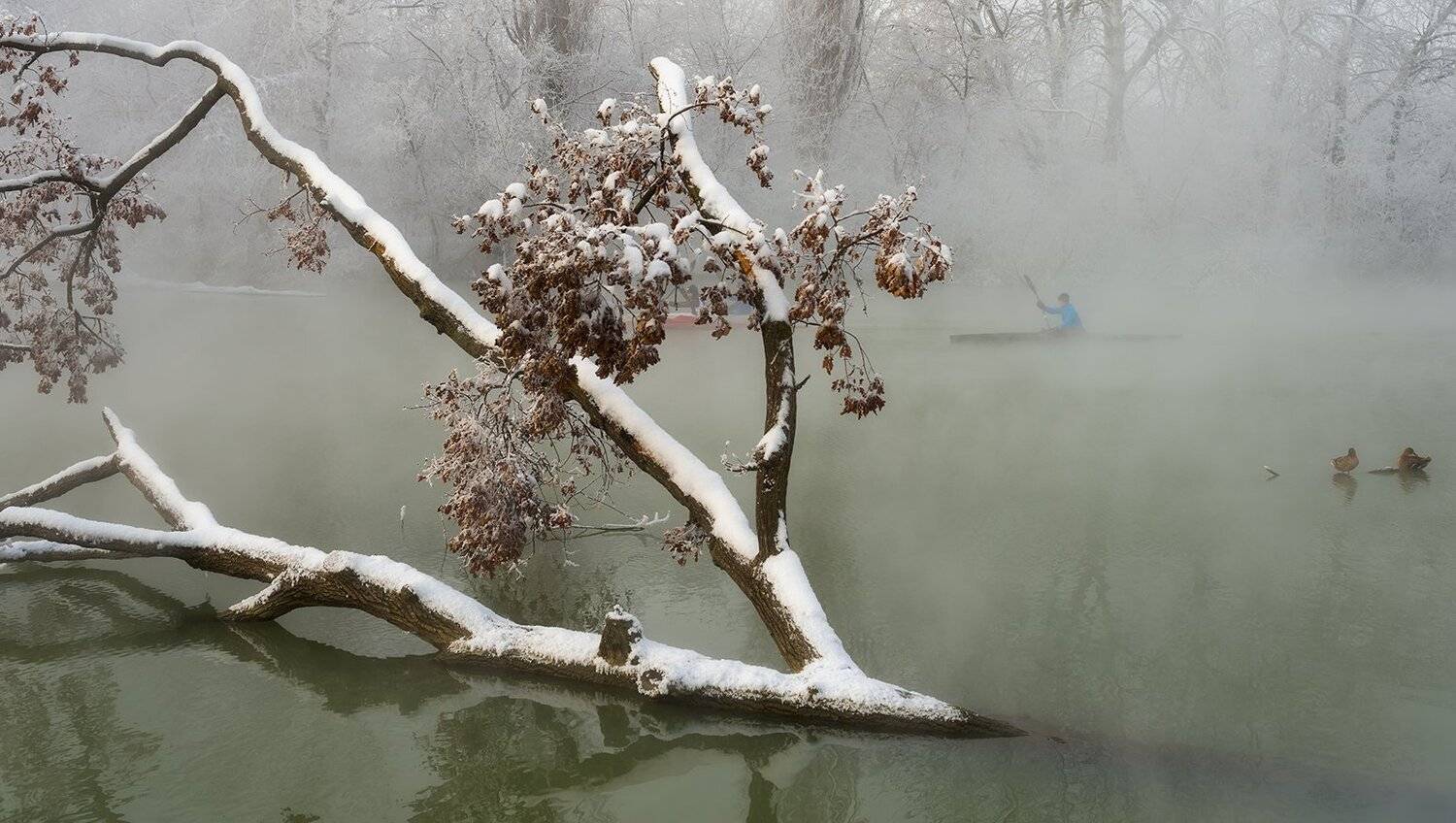 , Alexander Plekhanov