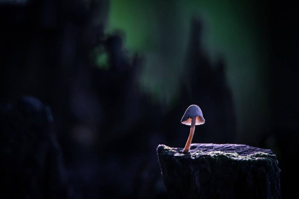 , Вячеслав Мищенко