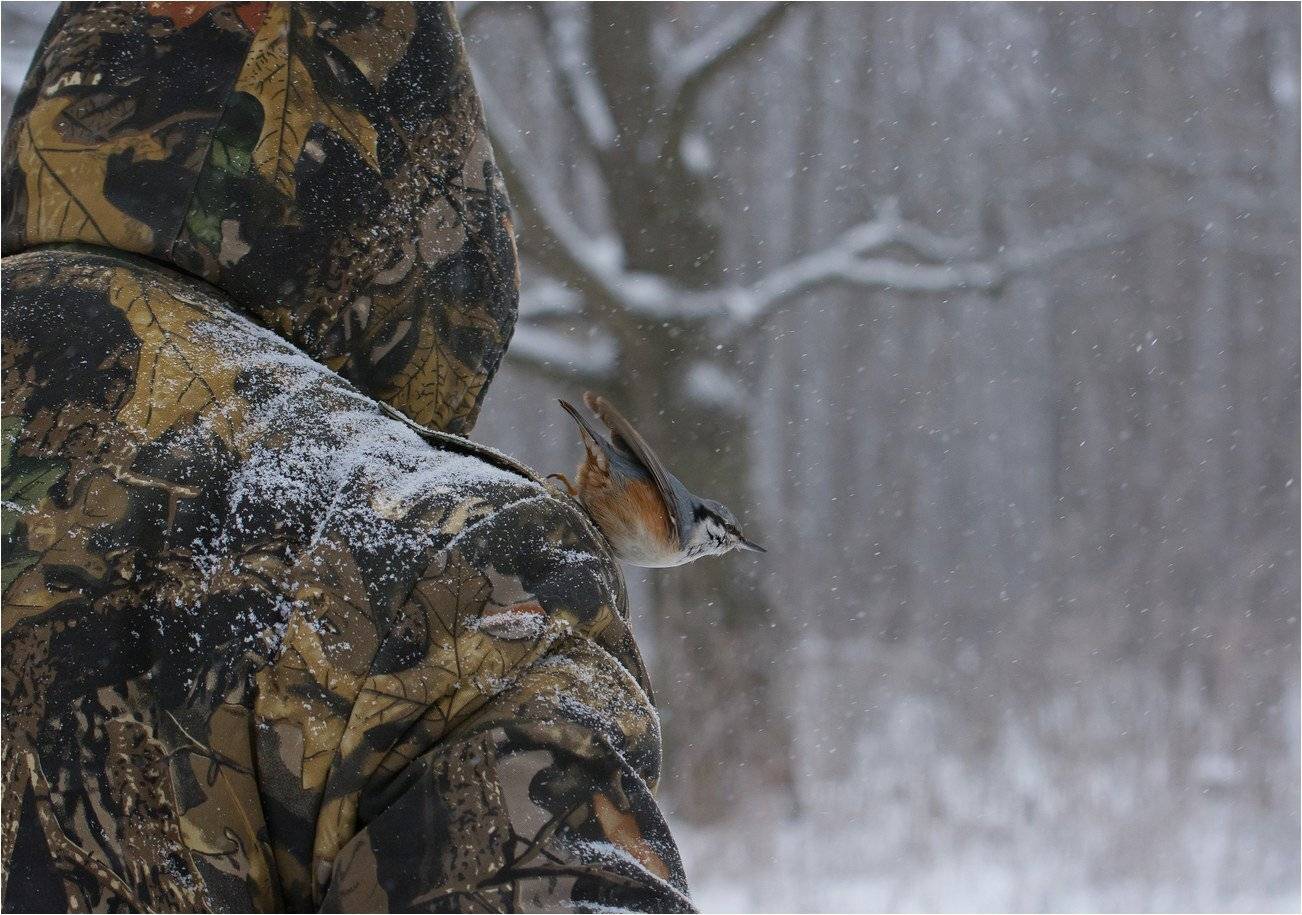 , Руслан Сигушин