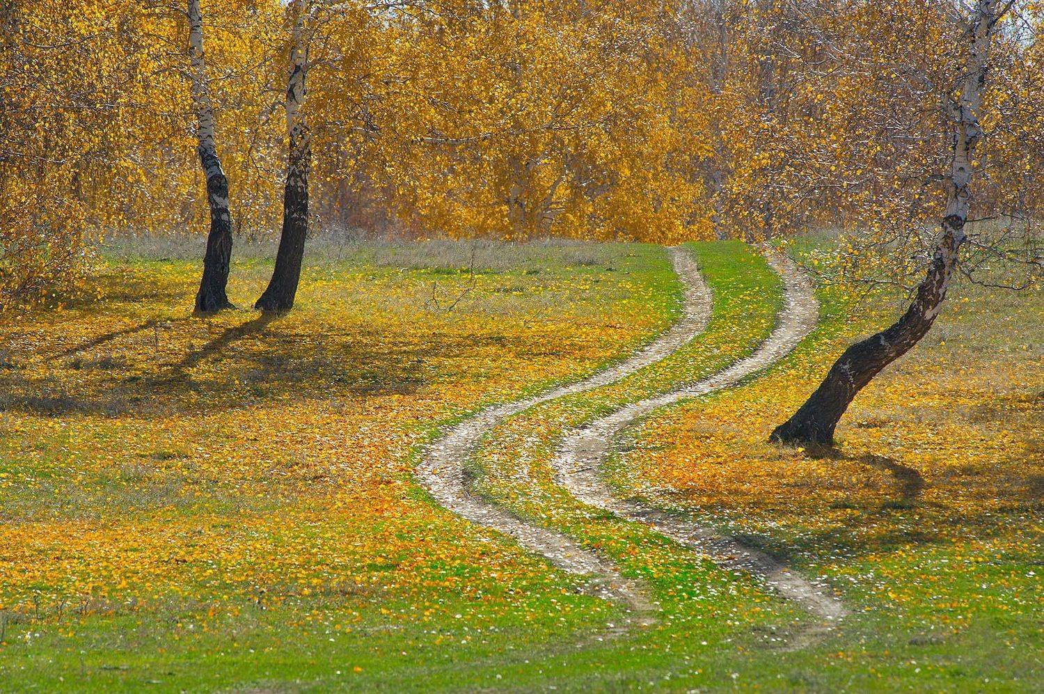 , Орлов Михаил