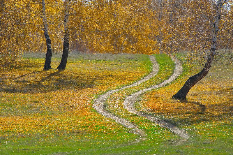 Осенняя дорожка фото превью