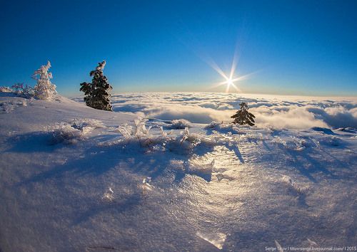 Морозное утро