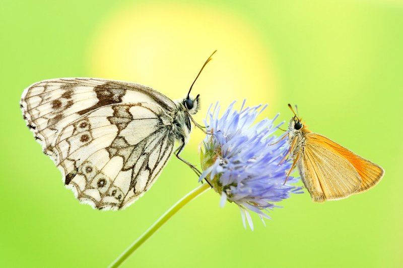 Face to face... фото превью