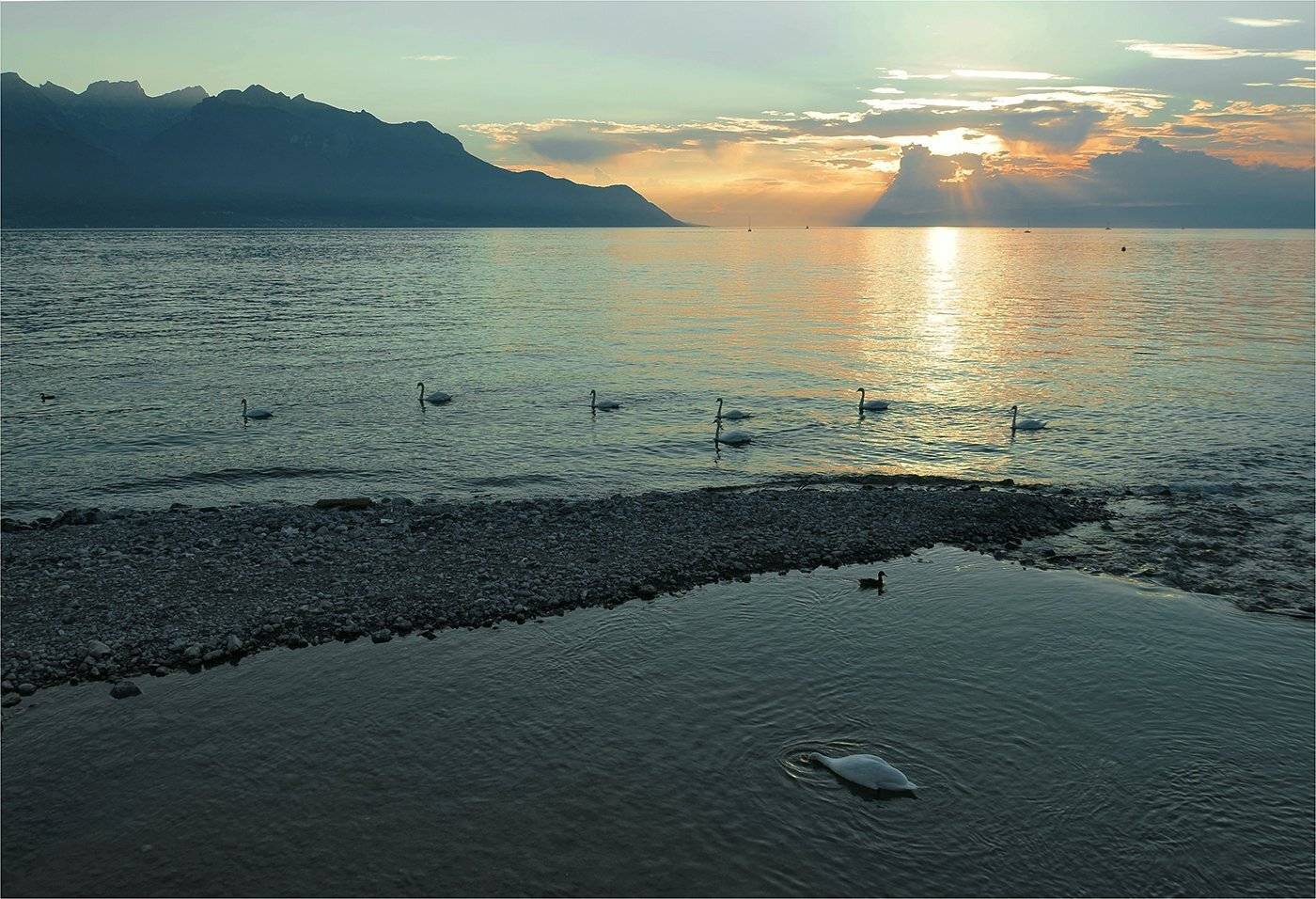 швейцария, озеро, закат, лебеди, Сергей Гаспарян