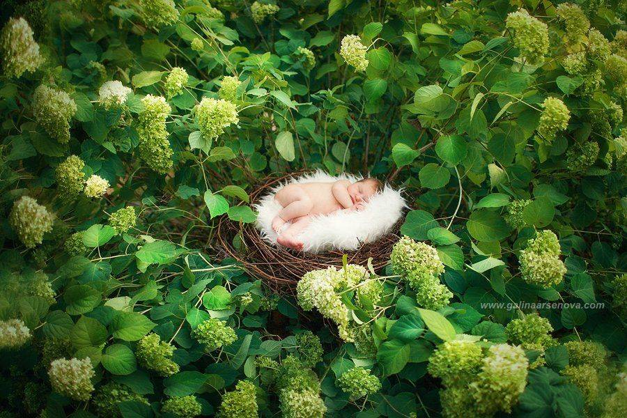 , Галина Арсёнова