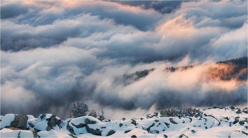 *** фото превью