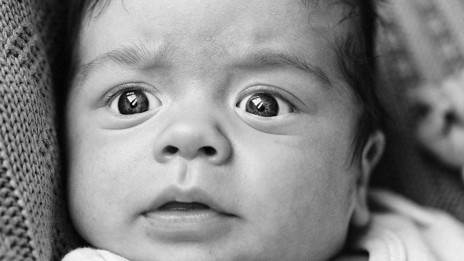 , Вадим Овчинников