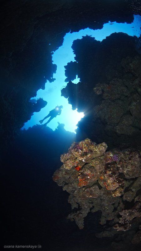 Canyon #1 фото превью