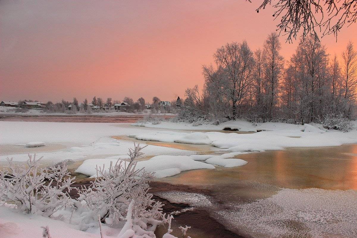 , Александр Коротков