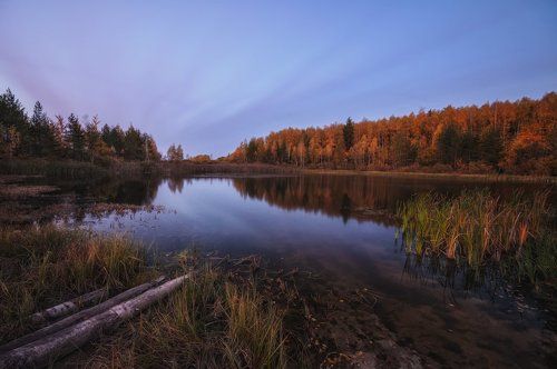 Осенним вечером у пруда