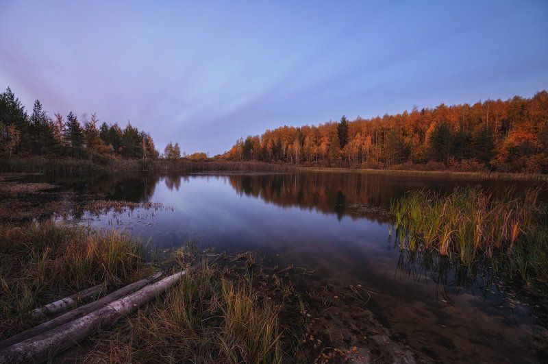Вечер, Осень, Подмосковье, Пруд Осенним вечером у пруда фото превью