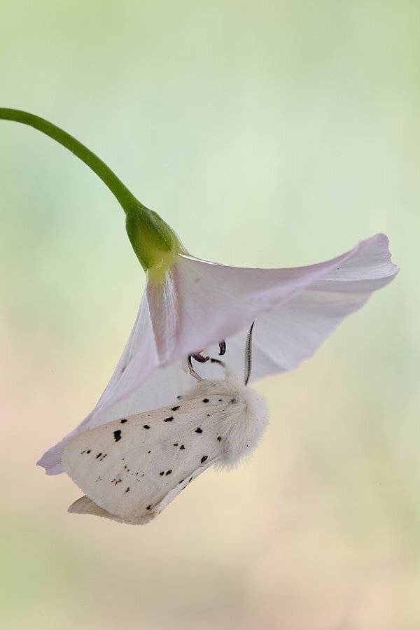 , Сергей Таланов