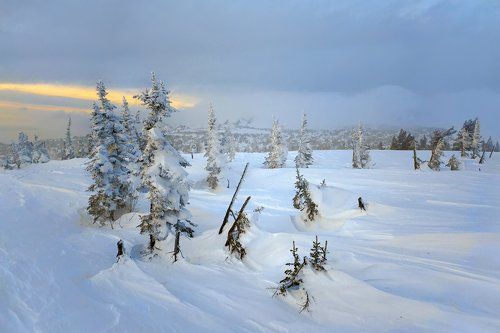 Прощальный вечер, светлая грусть...