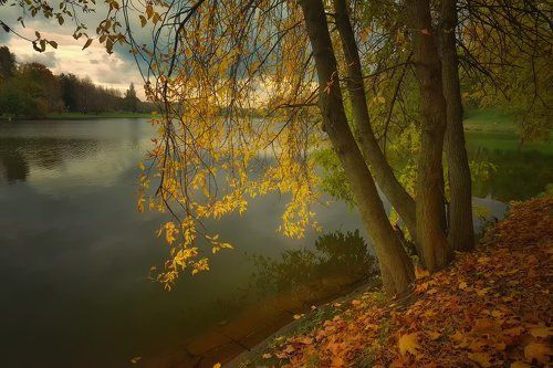 Угрюмой осенью