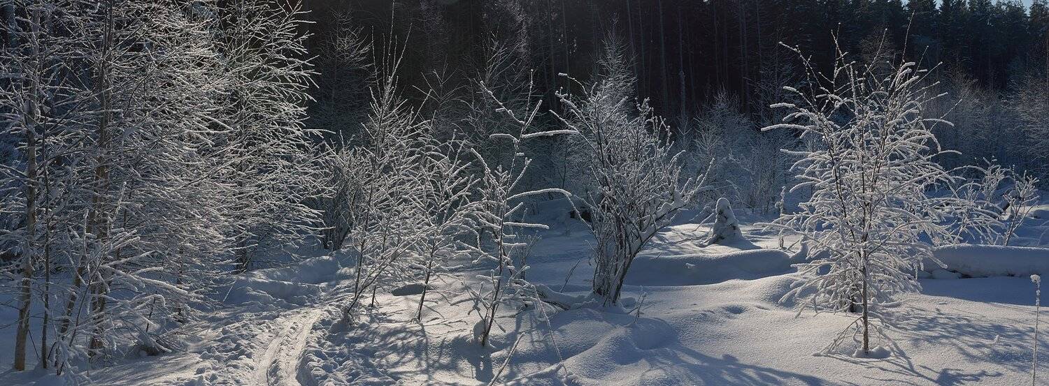 , Сергей Седов