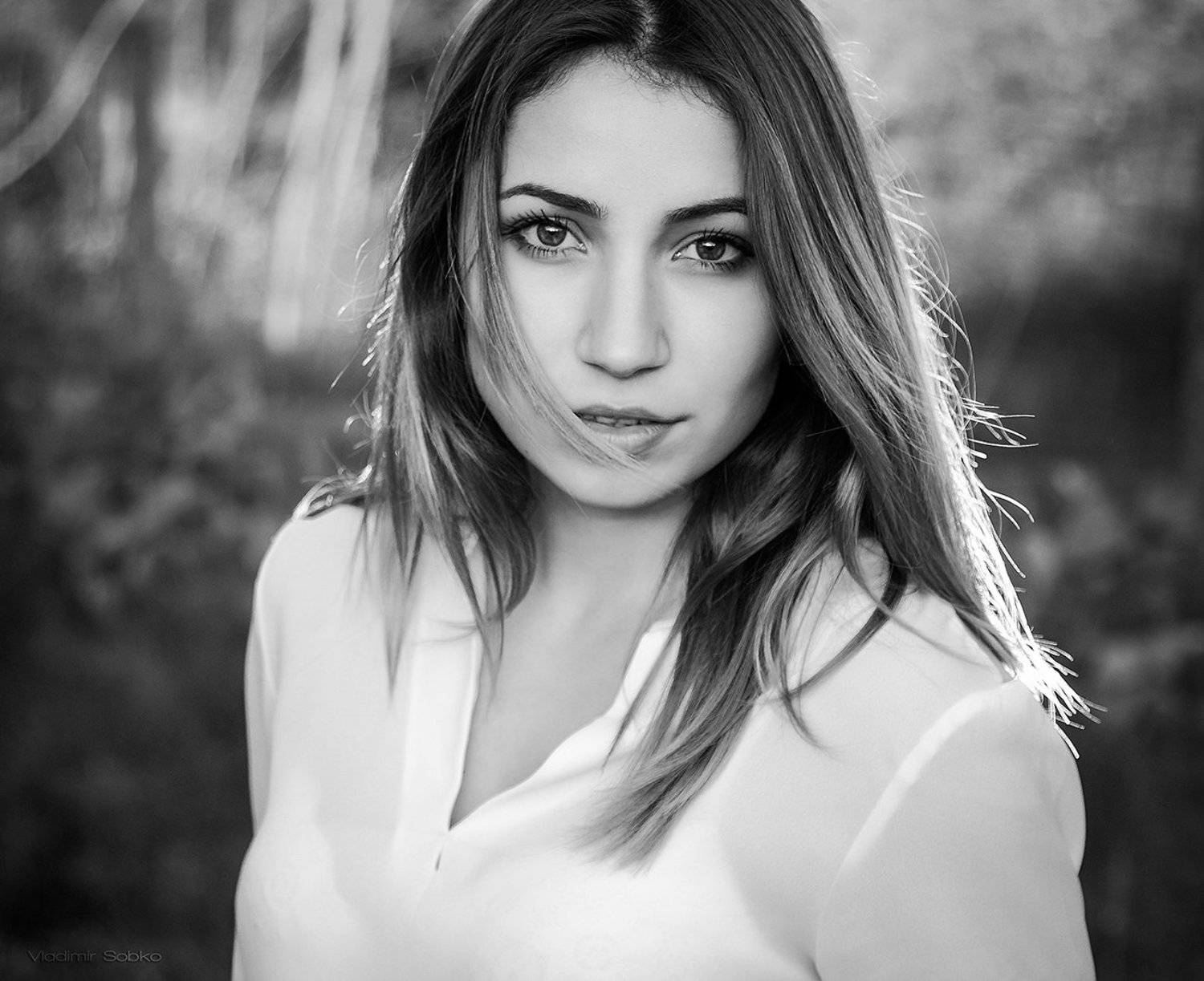 , Собко Владимир