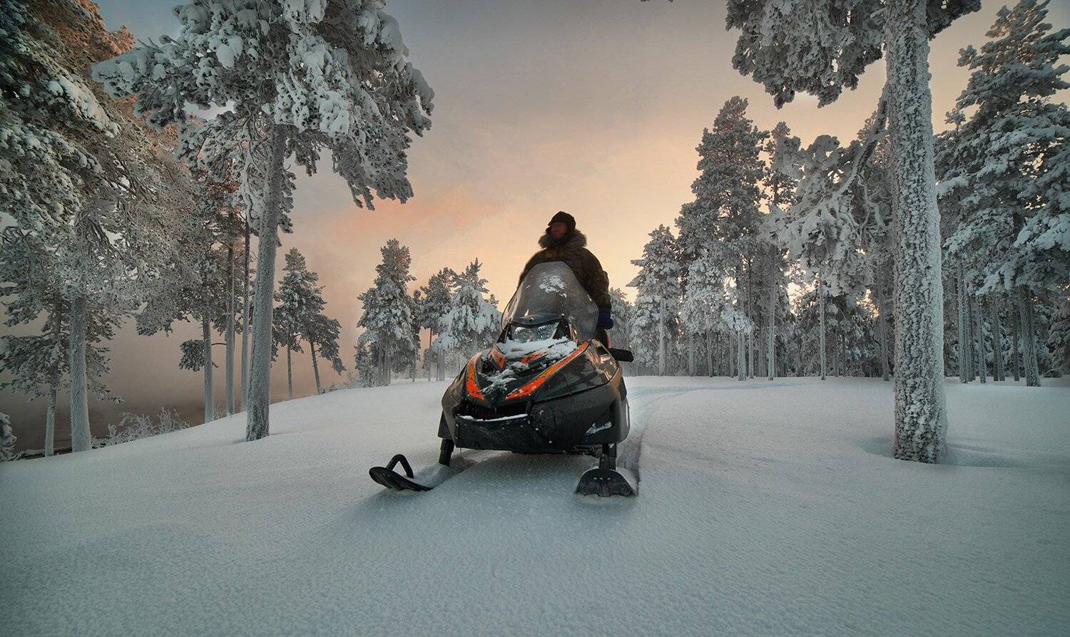 , Борис Полозков