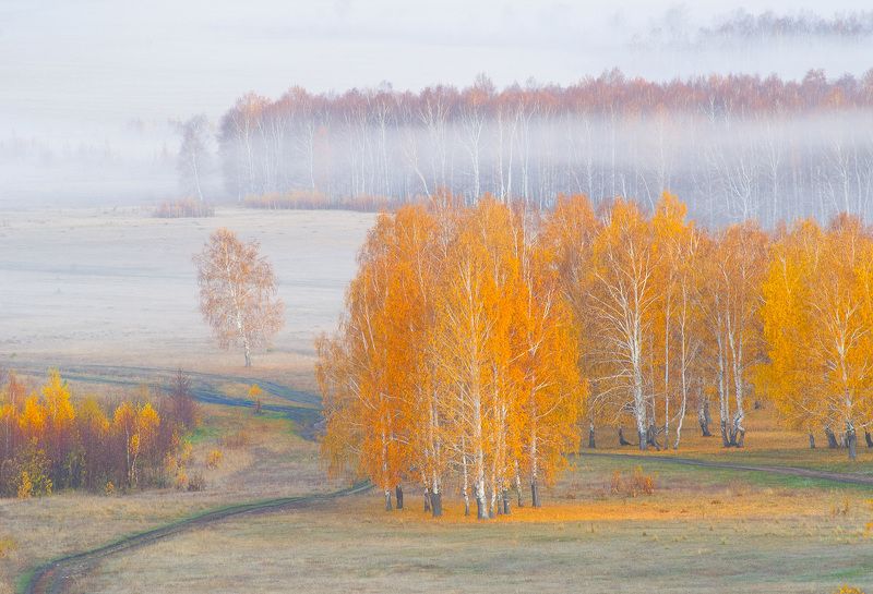 Туманчик фото превью