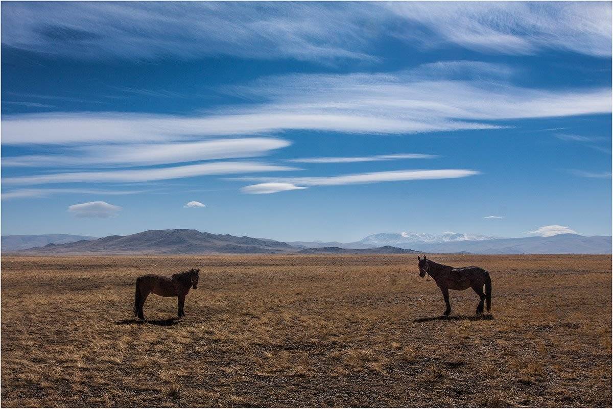 , Кутыгин Эдуард