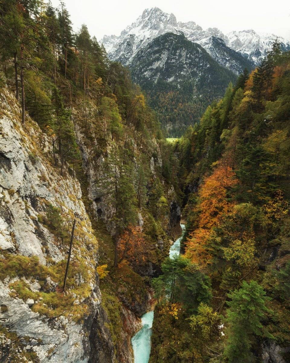 , Александр Удовиченко