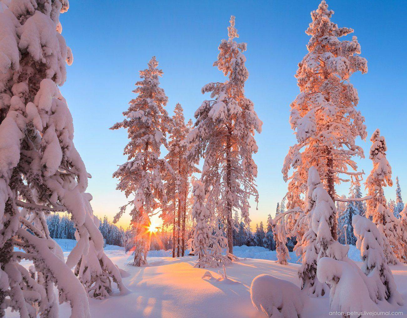 , Антон Петрусь