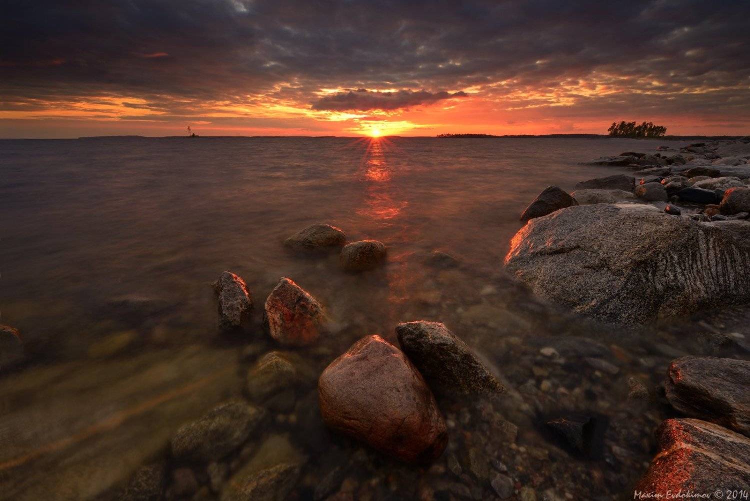 , Максим Евдокимов