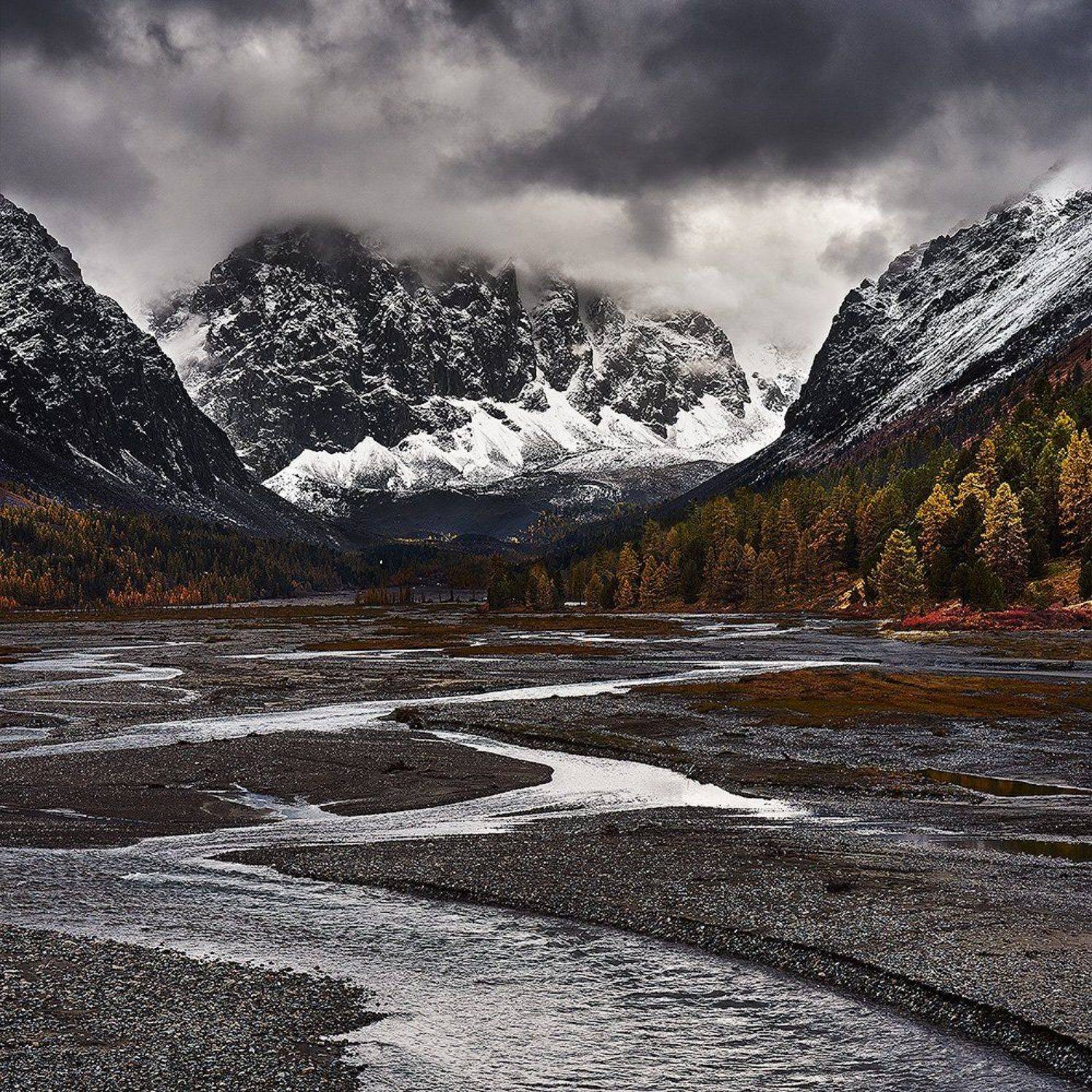 , Пономарев Андрей