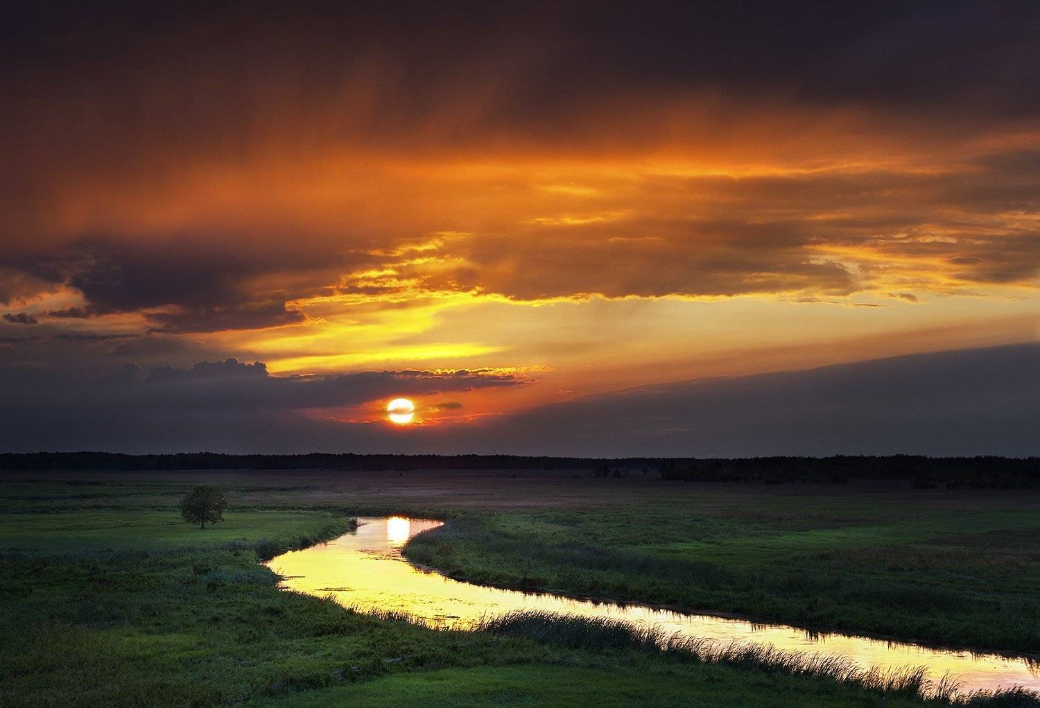 , Danny Vangenechten