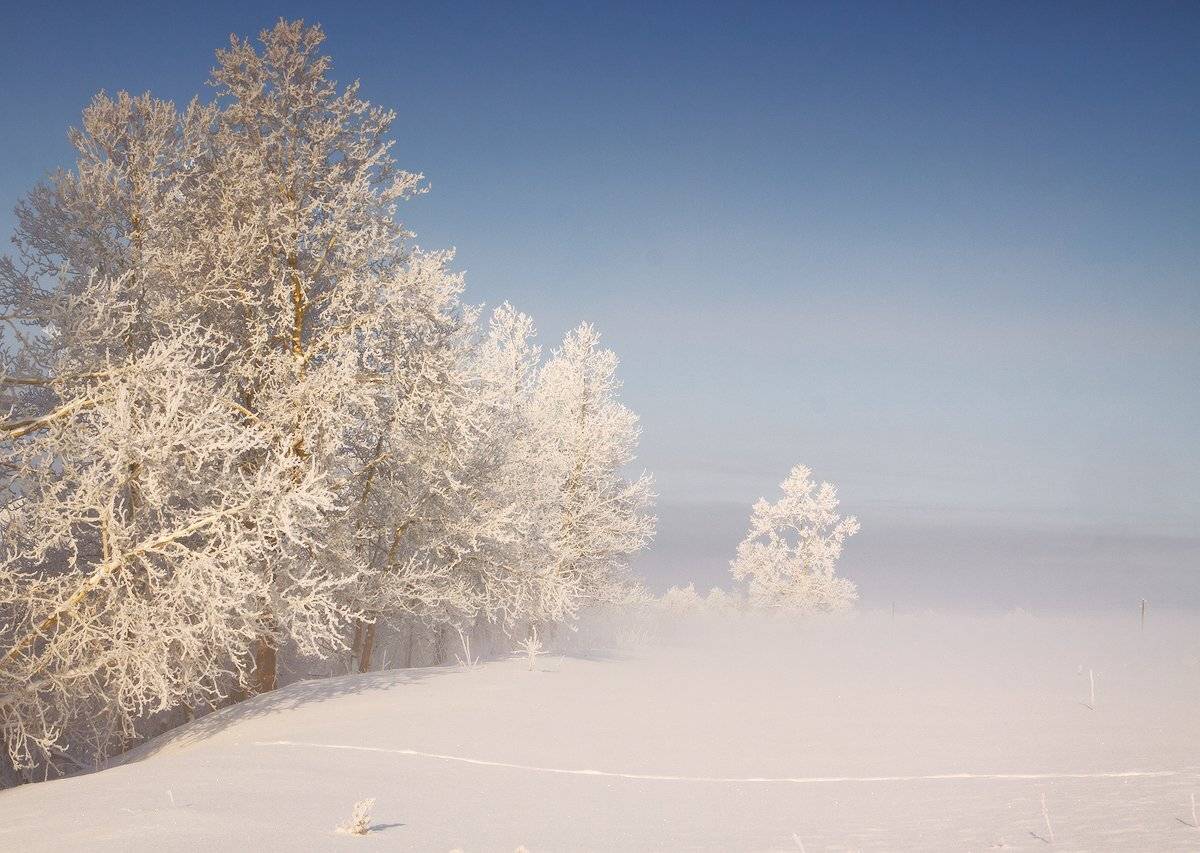 , Николай Морский