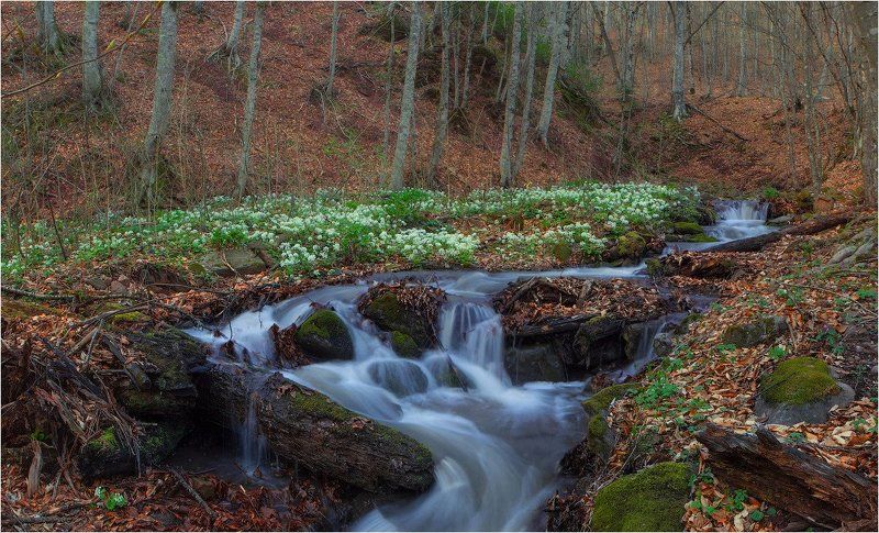 ранняя весна в Адыгее фото превью