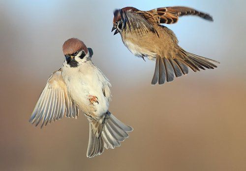 Ну все-я обиделась...