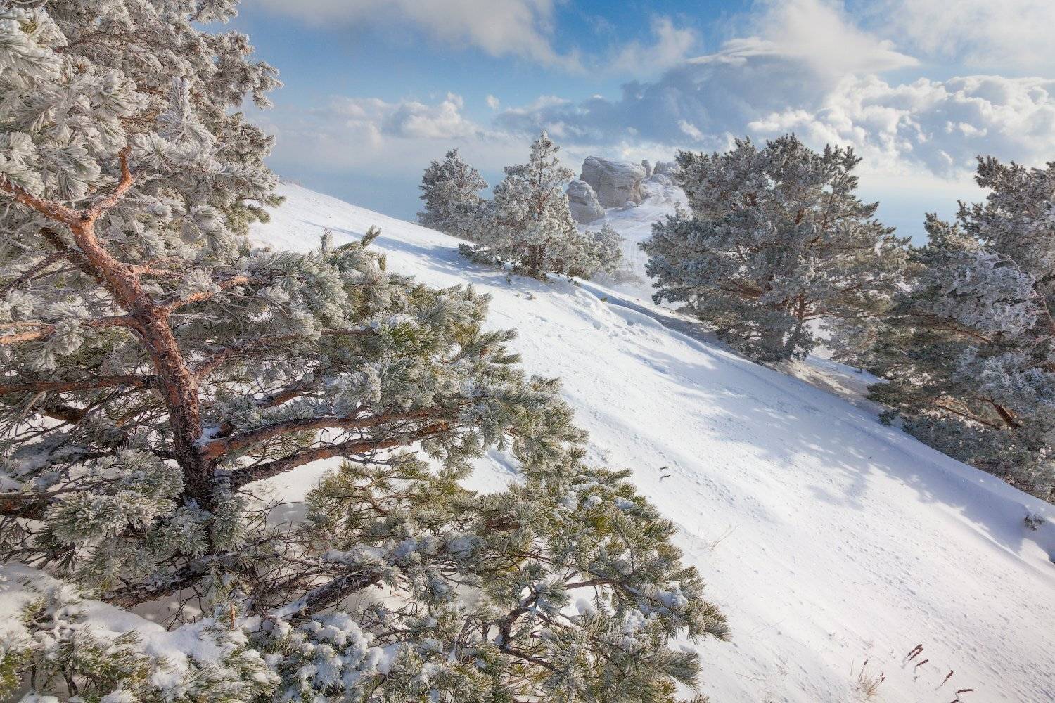 Крым, Демерджи, Сергей Ершов