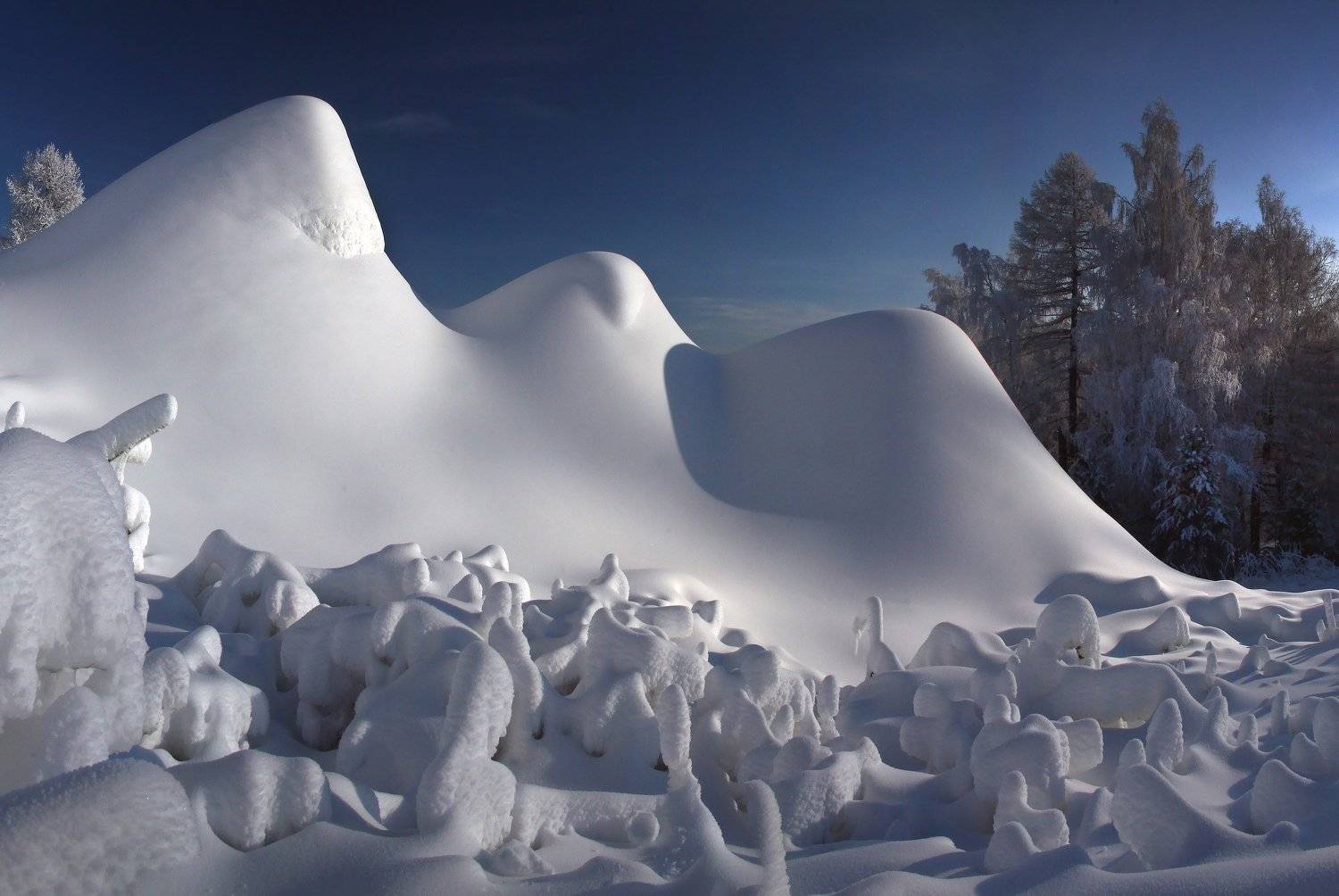 , Лихарев Александр