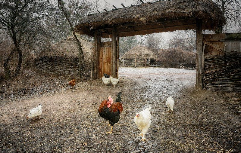 *** фото превью