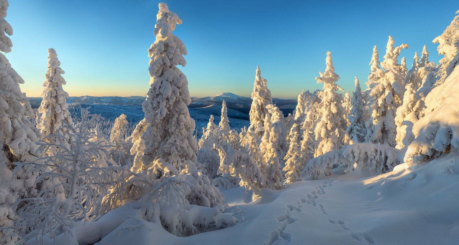 , Владимир Ляпин