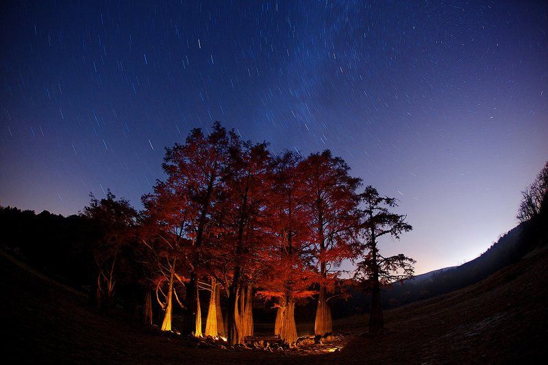 Ночное рандеву фото превью