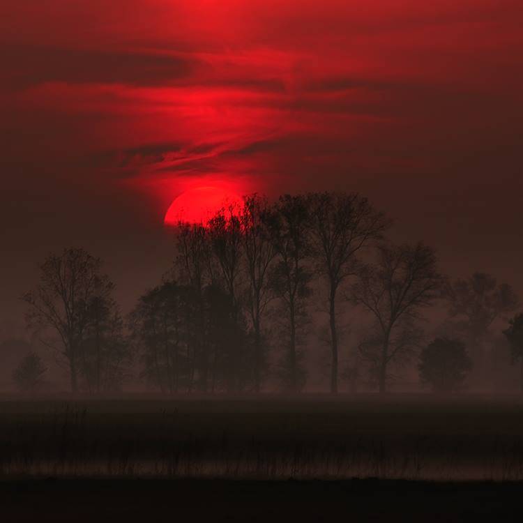 , Pawel Plucinski