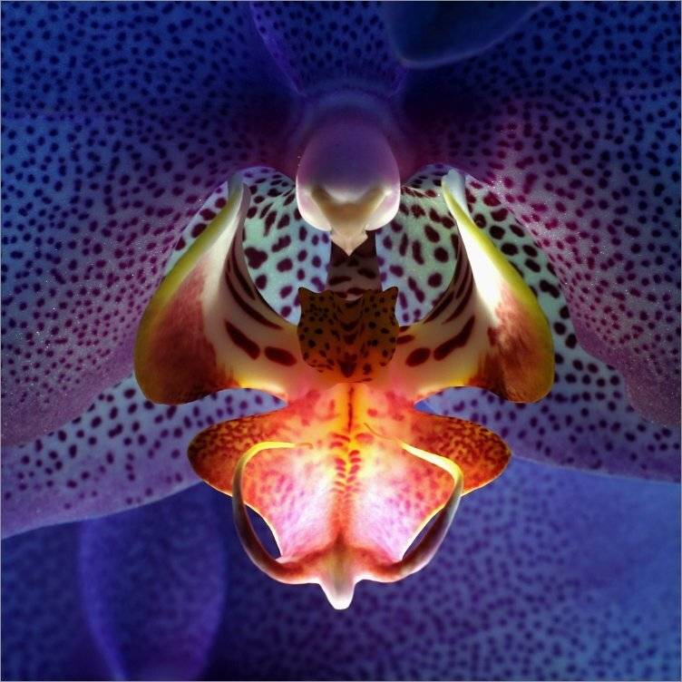 , Сергей Фудиненко