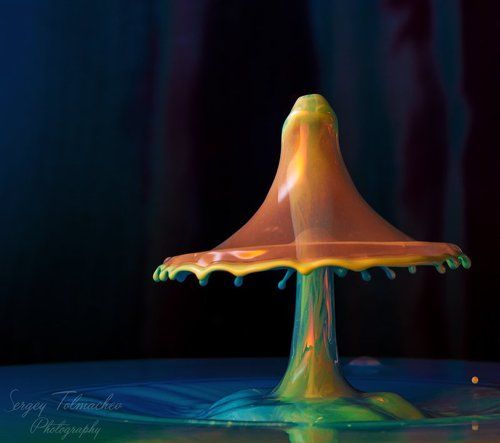 Из волшебного леса...