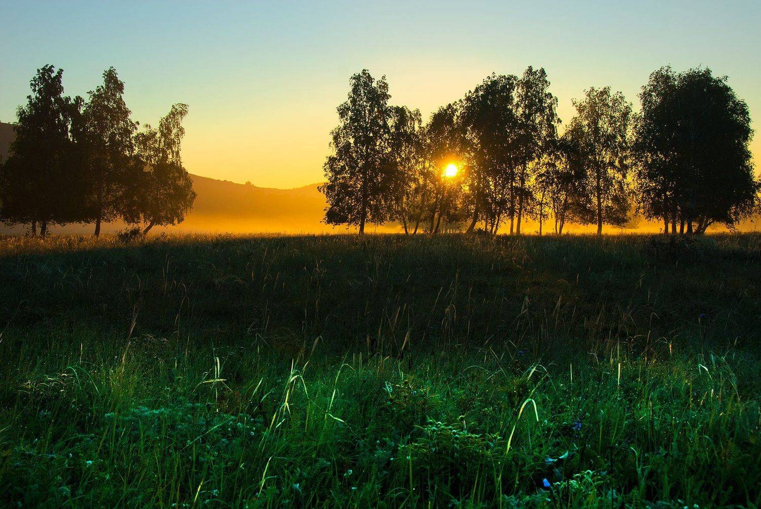, Орлов Михаил