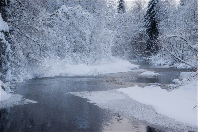 Река Сия фото превью