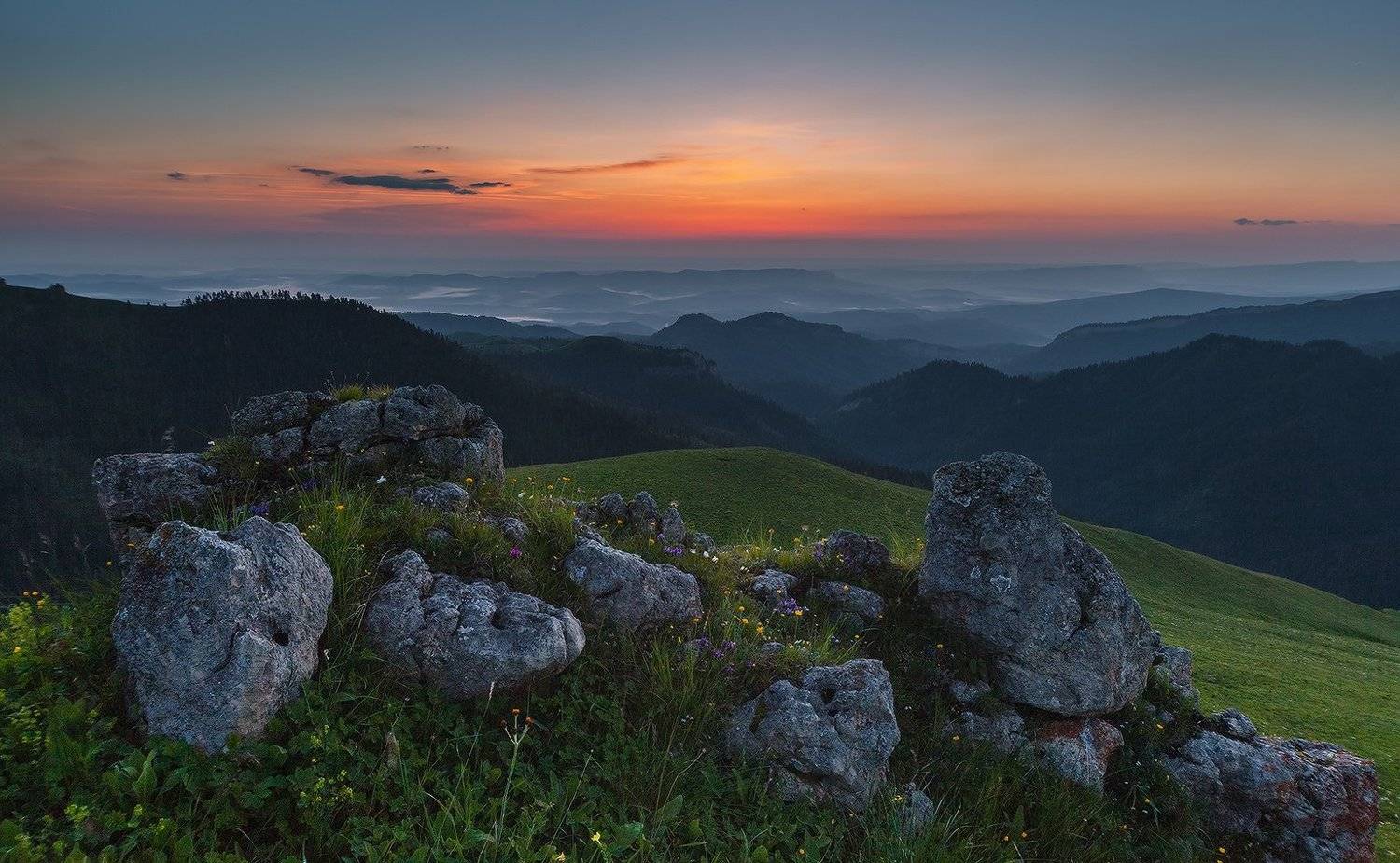 , Николай Мысливцев