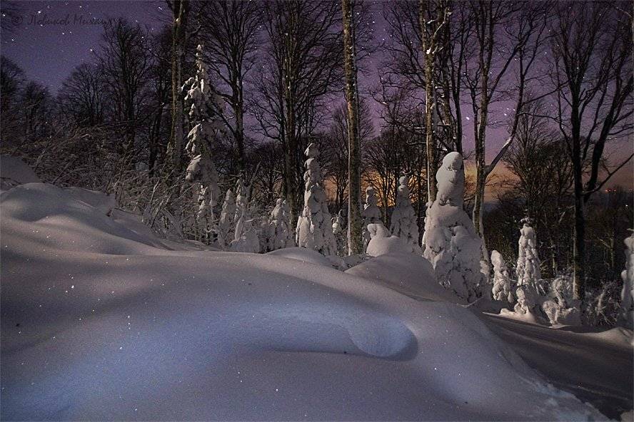 , Ловиков Михаил