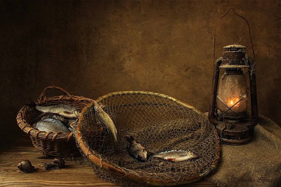 Рыба, Садок, Улитки, Фонарь, Фото натюрморт, Ирина Приходько