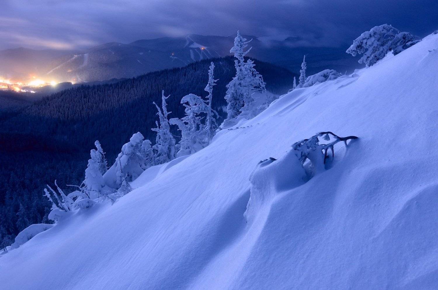 Dusk, Forest, Karpaty, Landscape, Pine, Snow, Trees, Деревья, Елки, Капрати, Лес, Пейзаж, Снег, Сумерки, Я