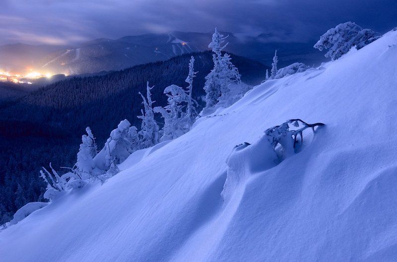 Dusk, Forest, Karpaty, Landscape, Pine, Snow, Trees, Деревья, Елки, Капрати, Лес, Пейзаж, Снег, Сумерки  фото превью